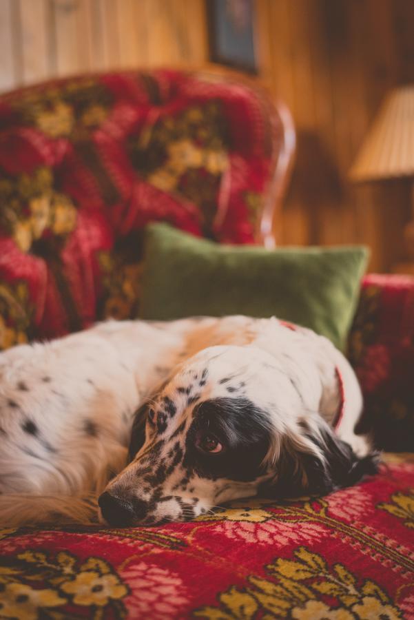 Bygdin Hoyfjellshotell Beitostolen エクステリア 写真
