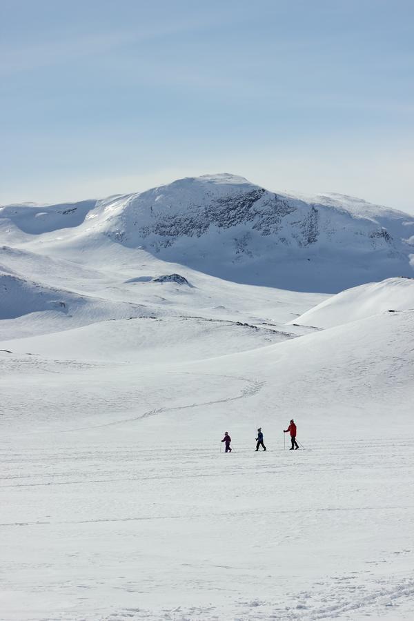 Bygdin Hoyfjellshotell Beitostolen エクステリア 写真