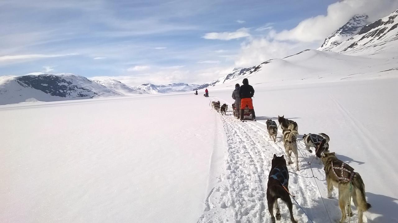 Bygdin Hoyfjellshotell Beitostolen エクステリア 写真